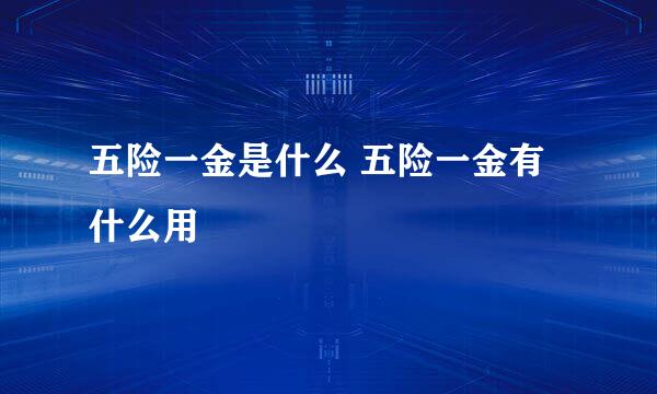 五险一金是什么 五险一金有什么用