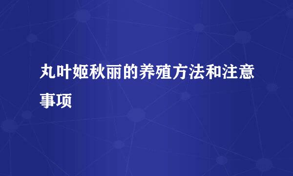 丸叶姬秋丽的养殖方法和注意事项