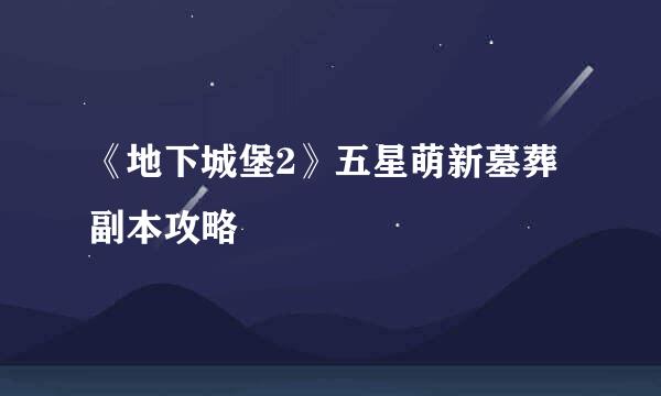 《地下城堡2》五星萌新墓葬副本攻略