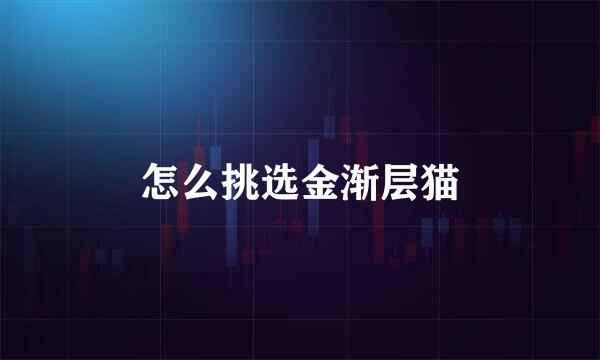怎么挑选金渐层猫