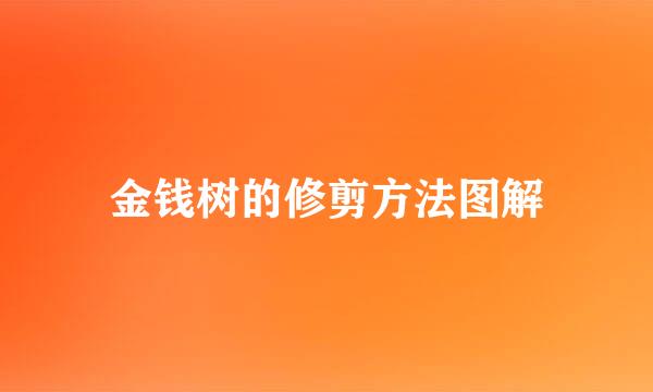 金钱树的修剪方法图解