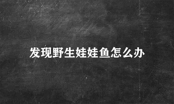 发现野生娃娃鱼怎么办