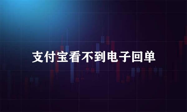 支付宝看不到电子回单