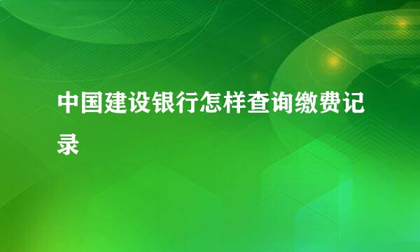 中国建设银行怎样查询缴费记录