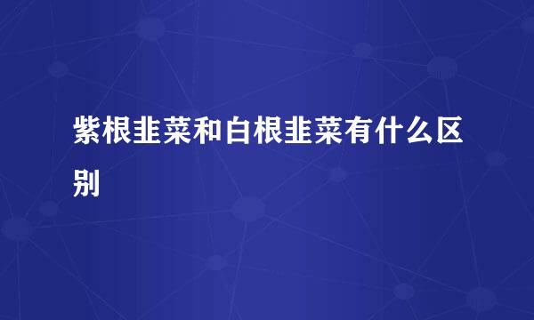 紫根韭菜和白根韭菜有什么区别