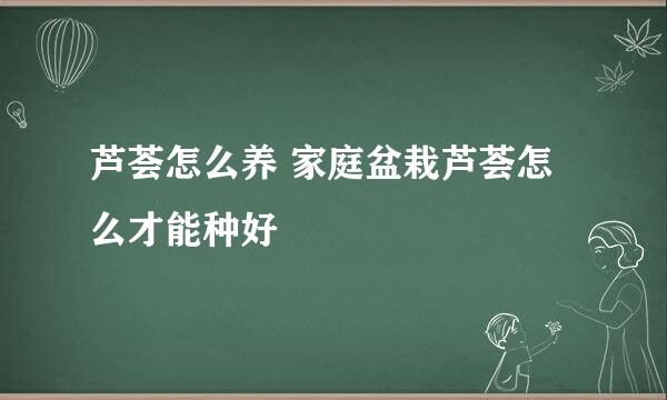 芦荟怎么养 家庭盆栽芦荟怎么才能种好