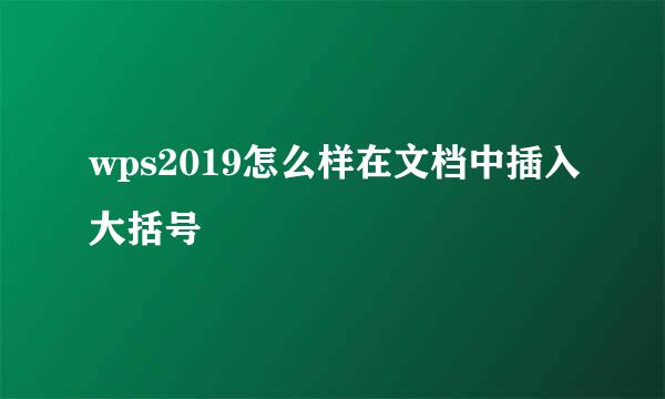 wps2019怎么样在文档中插入大括号