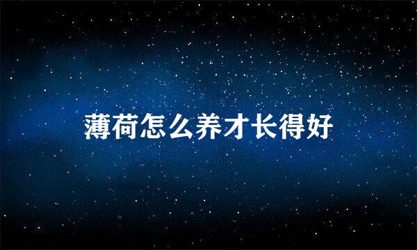 薄荷怎么养才长得好