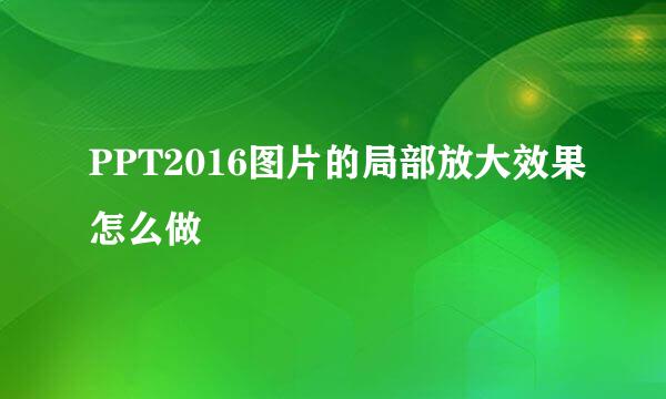 PPT2016图片的局部放大效果怎么做