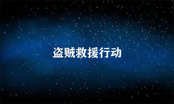 盗贼救援行动
