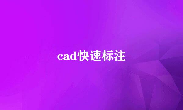 cad快速标注
