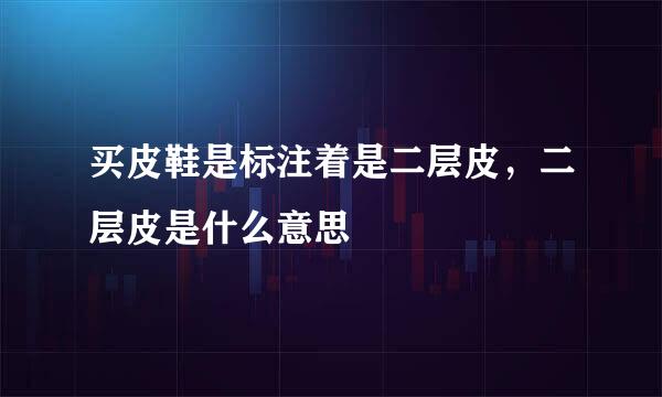 买皮鞋是标注着是二层皮,二层皮是什么意思