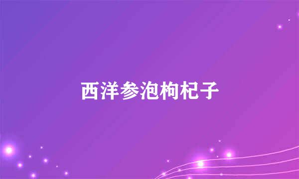 西洋参泡枸杞子