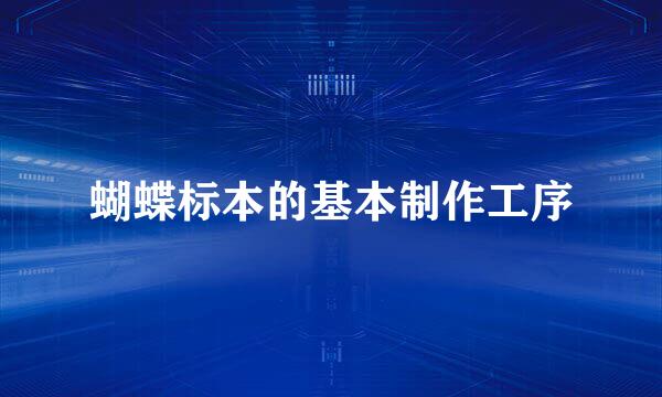 蝴蝶标本的基本制作工序