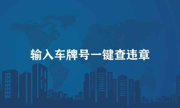 输入车牌号一键查违章