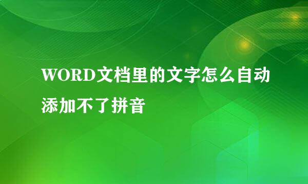WORD文档里的文字怎么自动添加不了拼音
