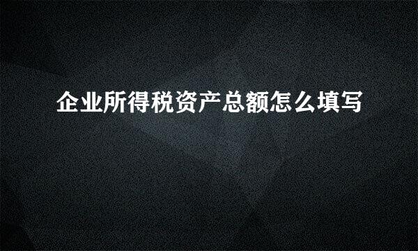 企业所得税资产总额怎么填写