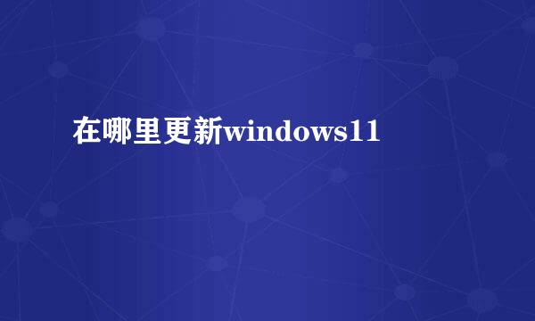 在哪里更新windows11