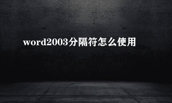 word2003分隔符怎么使用