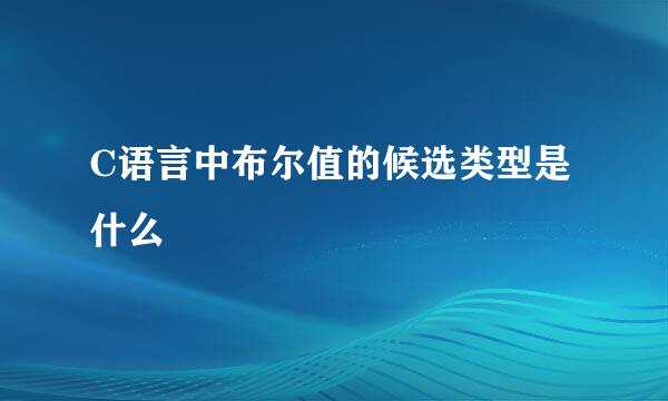 C语言中布尔值的候选类型是什么