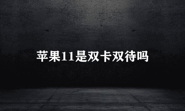 苹果11是双卡双待吗