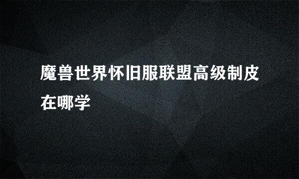 魔兽世界怀旧服联盟高级制皮在哪学