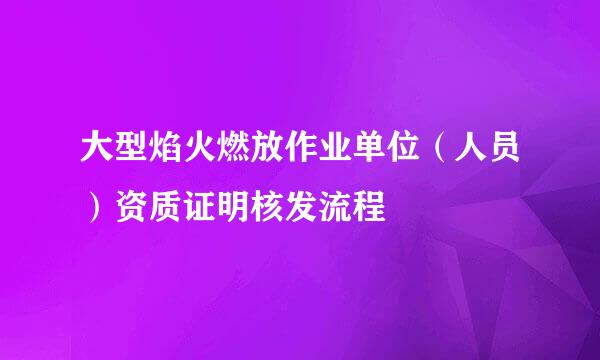 大型焰火燃放作业单位(人员)资质证明核发流程