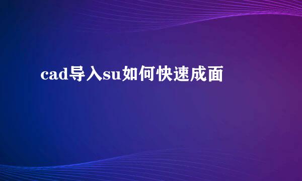 cad导入su如何快速成面