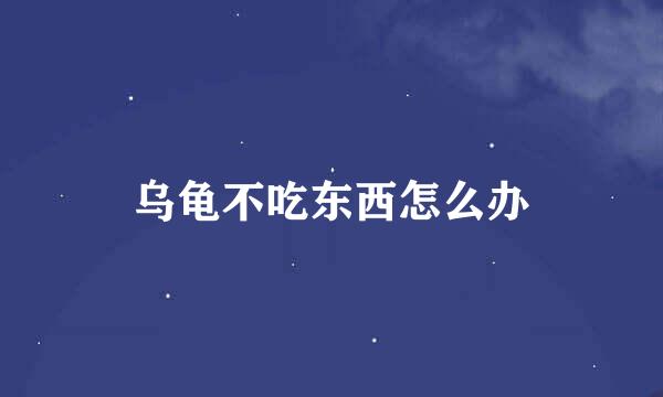 乌龟不吃东西怎么办