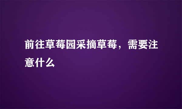 前往草莓园采摘草莓,需要注意什么