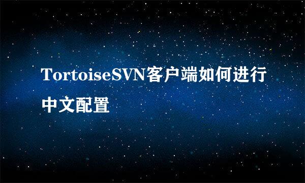 TortoiseSVN客户端如何进行中文配置