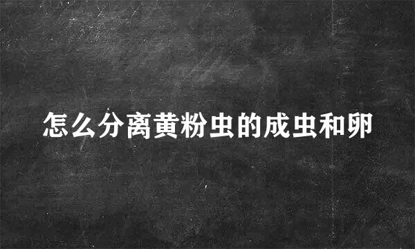 怎么分离黄粉虫的成虫和卵