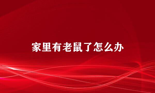 家里有老鼠了怎么办