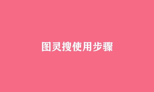 图灵搜使用步骤