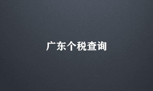 广东个税查询