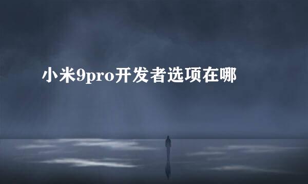 小米9pro开发者选项在哪