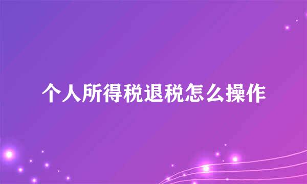 个人所得税退税怎么操作