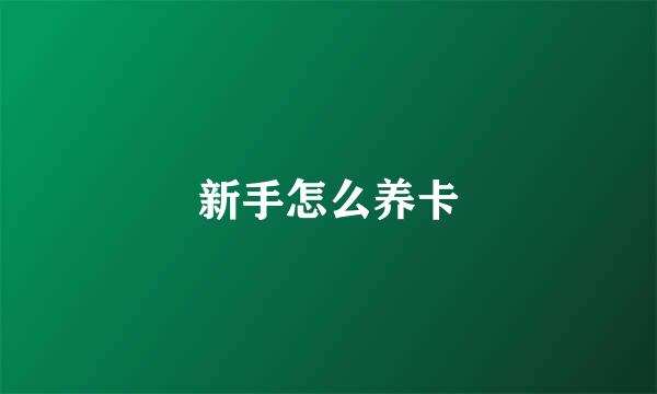新手怎么养卡