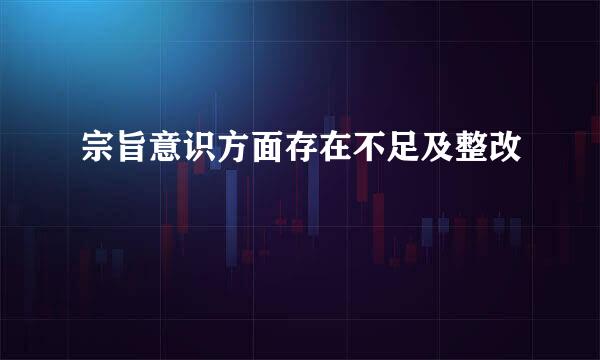 宗旨意识方面存在不足及整改
