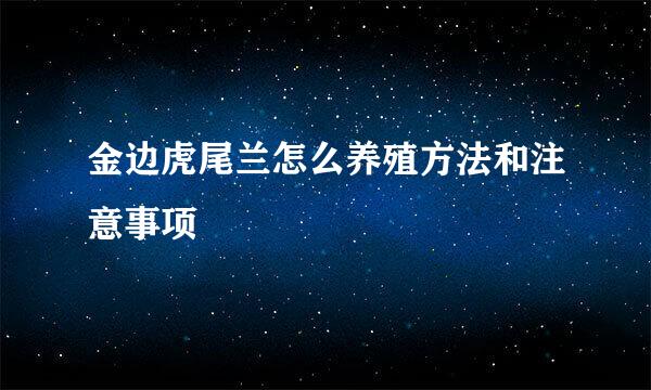 金边虎尾兰怎么养殖方法和注意事项