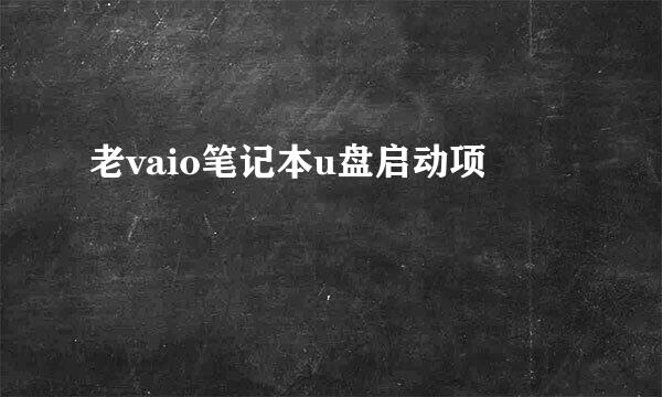 老vaio笔记本u盘启动项