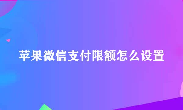 苹果微信支付限额怎么设置