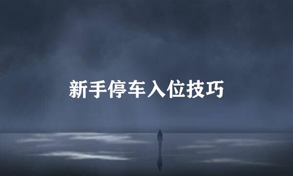 新手停车入位技巧