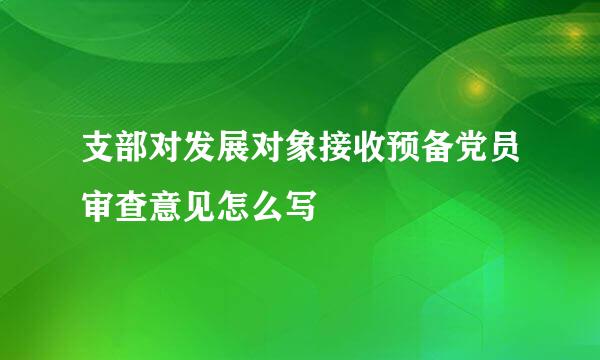 支部对发展对象接收预备党员审查意见怎么写