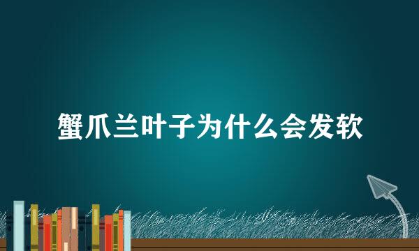 蟹爪兰叶子为什么会发软