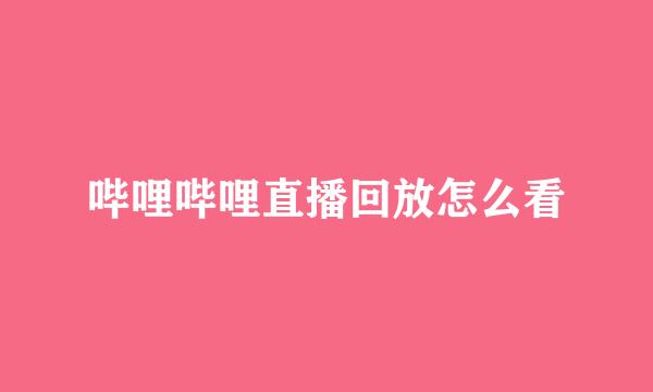 哔哩哔哩直播回放怎么看