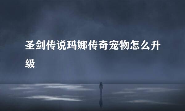 圣剑传说玛娜传奇宠物怎么升级