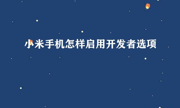 小米手机怎样启用开发者选项