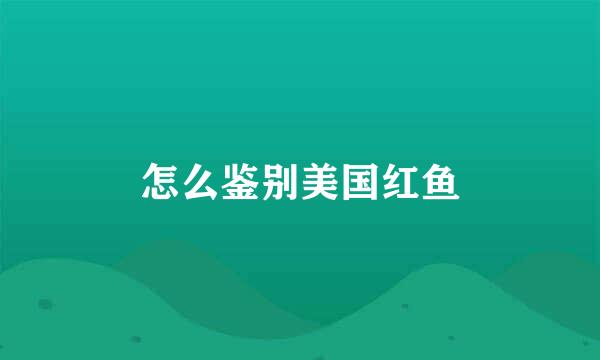 怎么鉴别美国红鱼