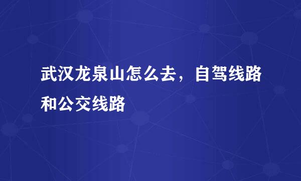武汉龙泉山怎么去,自驾线路和公交线路